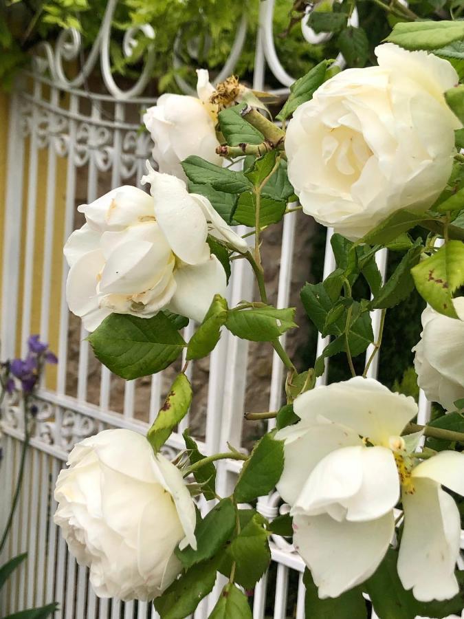 L'Ile Aux Fleurs Villa Ventabren Bagian luar foto